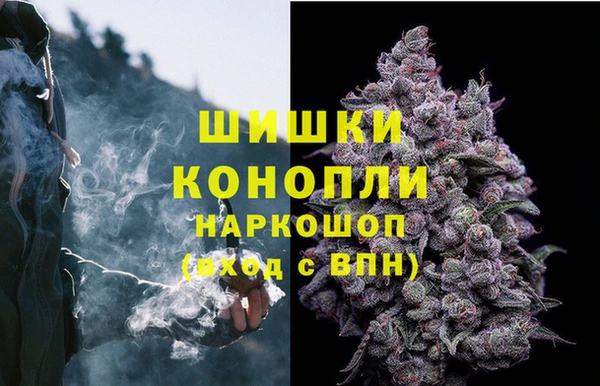 mdpv Ельня