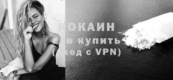 прущие грибы Елабуга