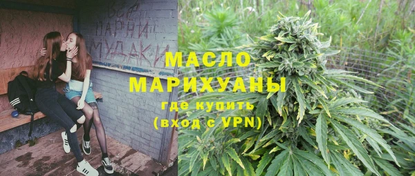прущие грибы Елабуга
