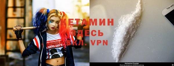 гидра Елизово