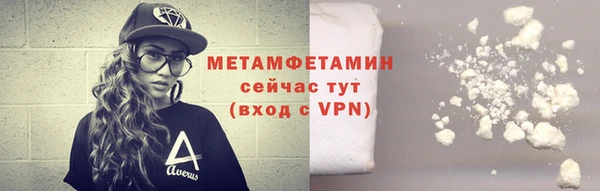 гидра Елизово