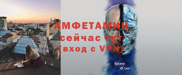 гидра Елизово