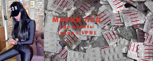 прущие грибы Елабуга