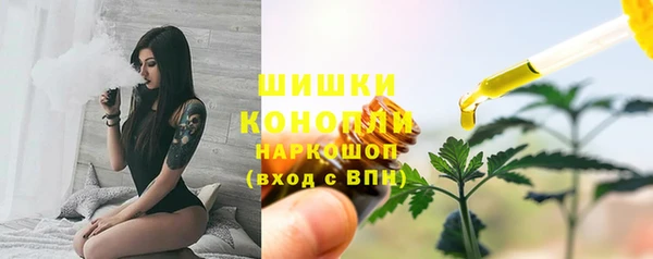 гидра Елизово