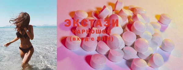 прущие грибы Елабуга