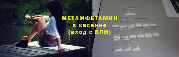 гидра Елизово