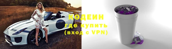 прущие грибы Елабуга
