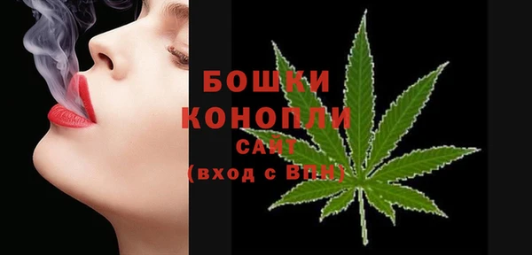 mdpv Ельня