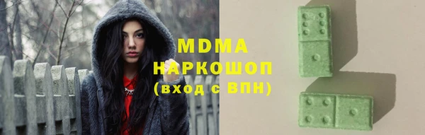 прущие грибы Елабуга