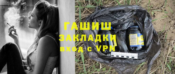 гидра Елизово