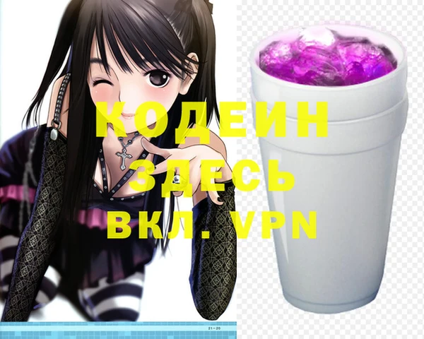 прущие грибы Елабуга