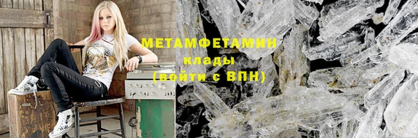 гидра Елизово