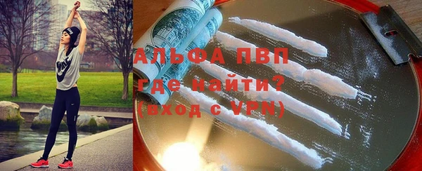 прущие грибы Елабуга