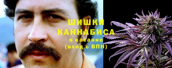 mdpv Ельня