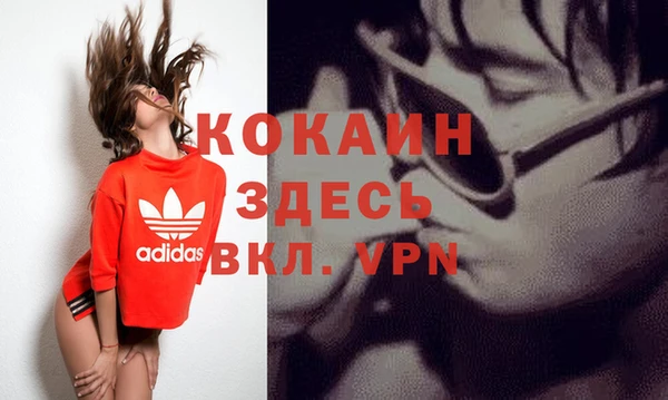 прущие грибы Елабуга