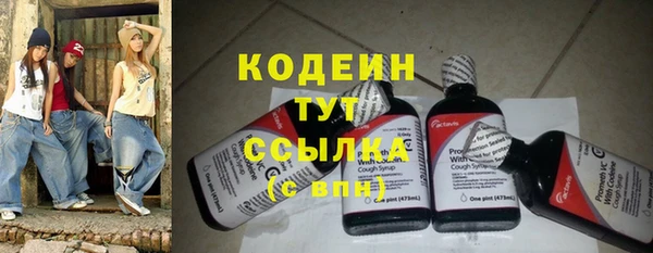 прущие грибы Елабуга