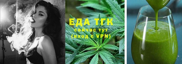 гидра Елизово