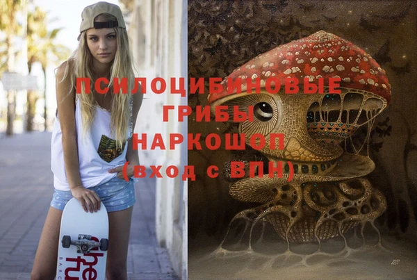 прущие грибы Елабуга